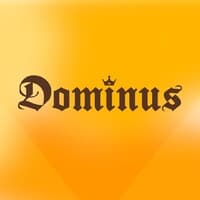 Dominus Química