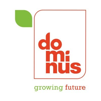 Dominus S.A.C