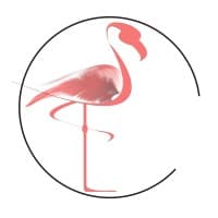 Flamingo Marketing Strategies Ltd