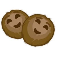 Double Coconut - Mobile and Web Game Development
