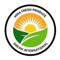 Dream International