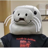 Drug Free Manatee