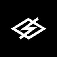 DS Electronics