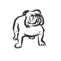 DUNDERDOG