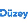Düzey