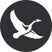 eddie bauer
