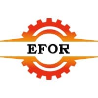 Efor Nuts Roasting Machine