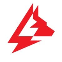 Electric Guard Dog