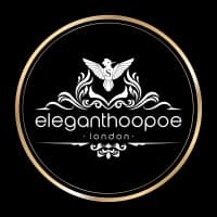 elegant hoopoe