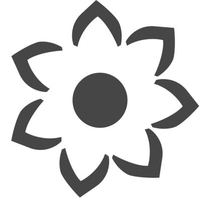 ElevasionX