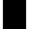 SOLVE
