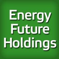 energy future holdings