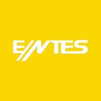 entes elektronik