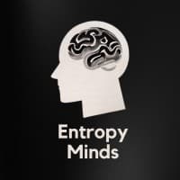 Entropy Minds