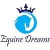 Equine Dreams
