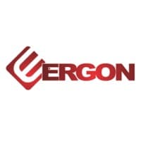 Ergon Vision System