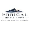 Errigal Intelligence