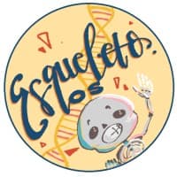 Esqueleto Os