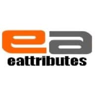 ETHNA ATTRIBUTES SOFTWARE TECHNOLOGIES PVT.LTD