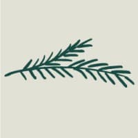 Evergreen M&A