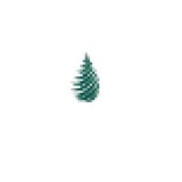 Evergreen Oil Inc.