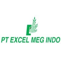 Excel Meg Indo