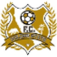 fc golden state
