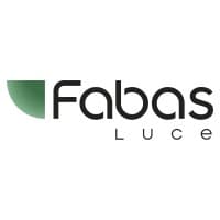 Fabas Luce SpA Group