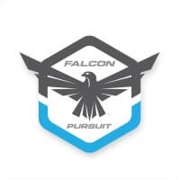 Falcon Pursuit