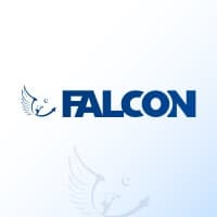 Falcon Consulting
