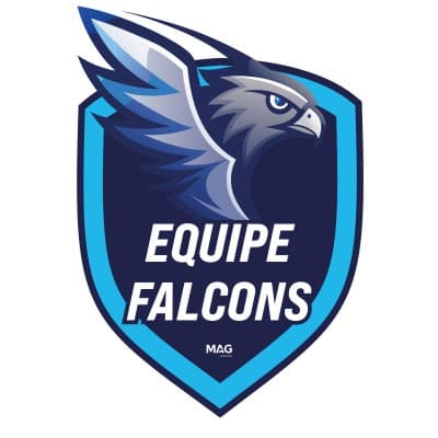 Falcons Seguros - Equipe MAG