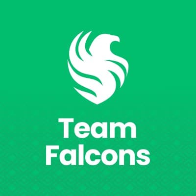 Team Falcons