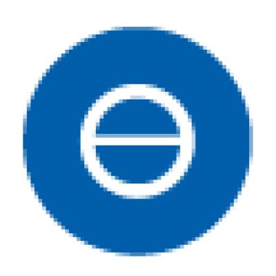 Federal Mogul Powertrain Turkey