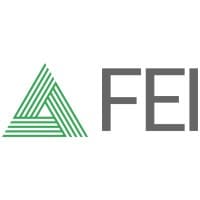 FEI SOLUTION GmbH
