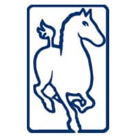 Ferghana Partners
