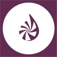 Figmints Digital Creative Marketing