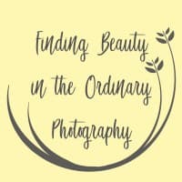 Finding Beauty Photography