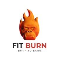 Fit Burn
