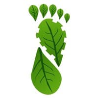 Floresta Jr. - Consultoria Florestal