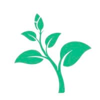Flourish Institute