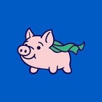 Flying Pig Payment Processing