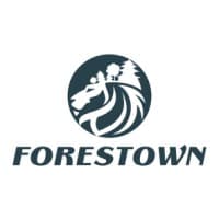 FORESTOWN INTERNATIONAL CONSULTING INC.
