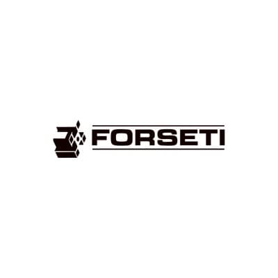 Forseti Soluções