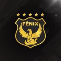 GRUPO FÊNIX SEGURANÇA PATRIMONIAL E FACILITIES LTDA