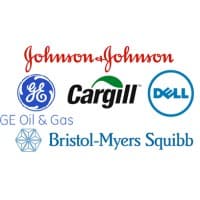Fortune 500 Companies (Various)