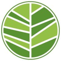 Reforestemos Patagonia