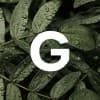 G Arquitectura