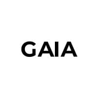 GAIA AI Accelerator