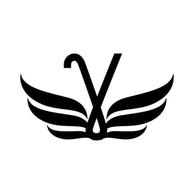 Gama Drones