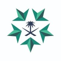 General Authority for Military Industries (GAMI)